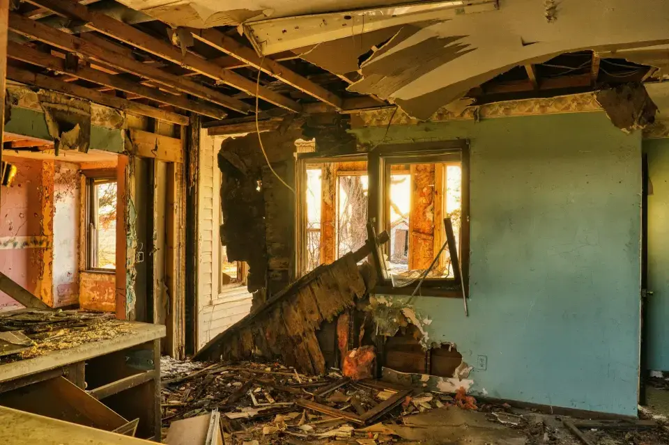 Richmond's Certified Mold Removal & Remediation Experts — Richmond, CA