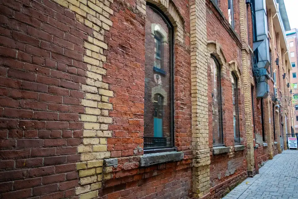 Berkeley — mold removal