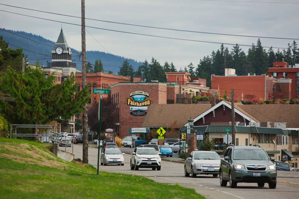 Tiburon — mold removal